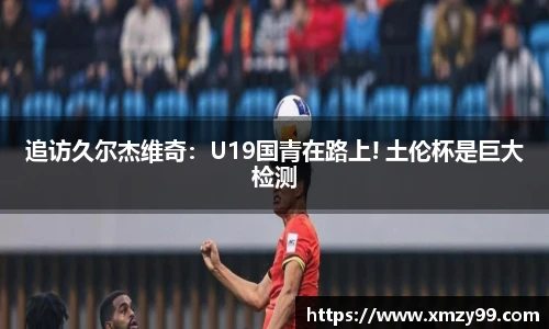 追访久尔杰维奇：U19国青在路上! 土伦杯是巨大检测